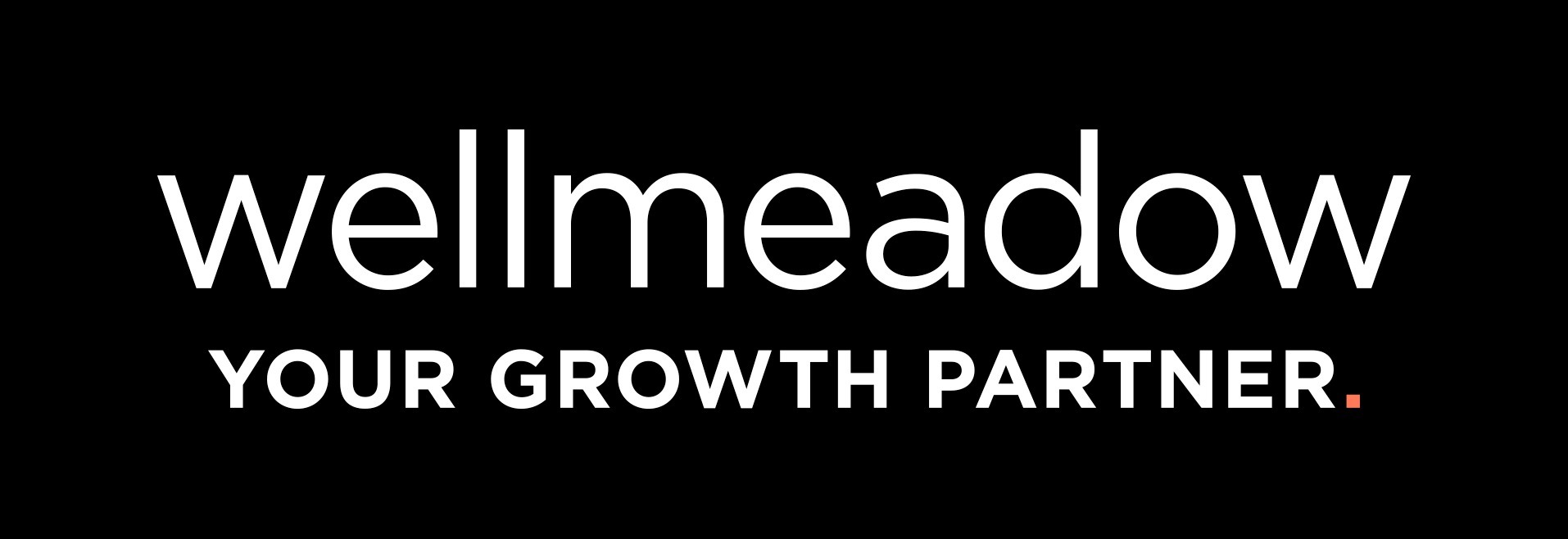 Wellmeadow - Manufacturing Professionals